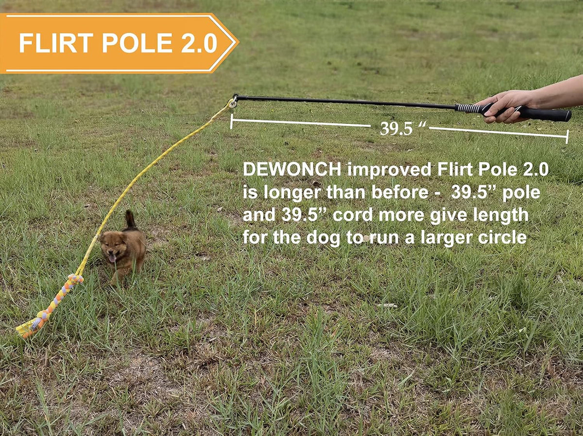 Interactive Flirt Pole Toy for Dogs Outdoor Exercise & Agility - image 3