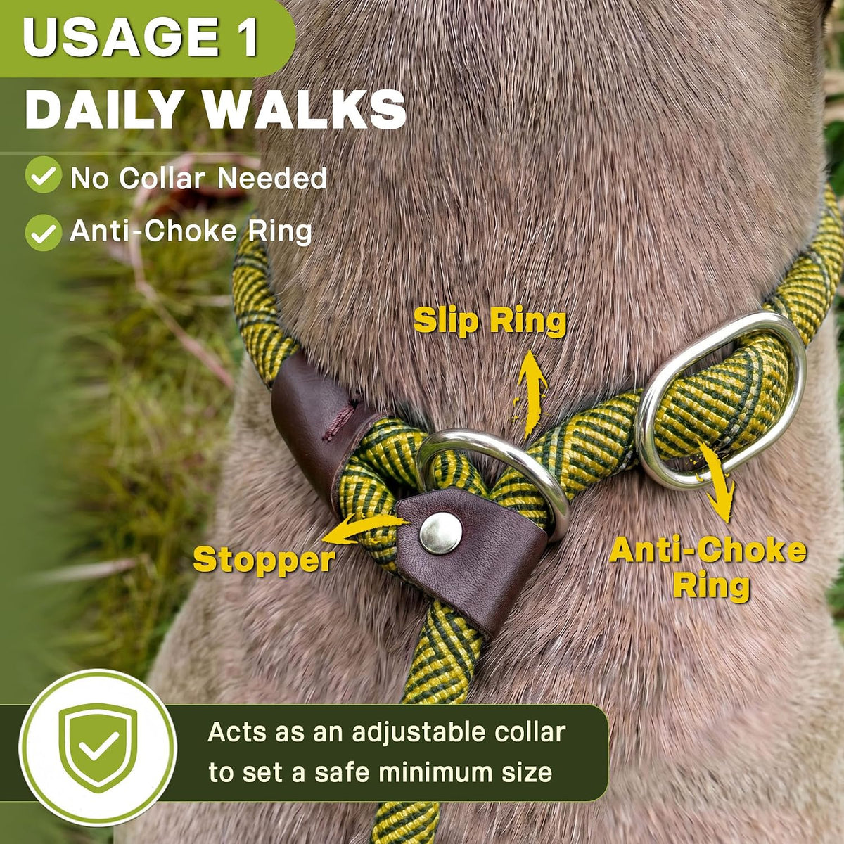 Fida Durable Slip Lead Dog Leash - Small (3/8" x 6 ft) / Yellow - image 4