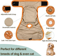 Washable Female Dog Diapers - Large（15"-17"Waist） / coffee&black&gery - image 2