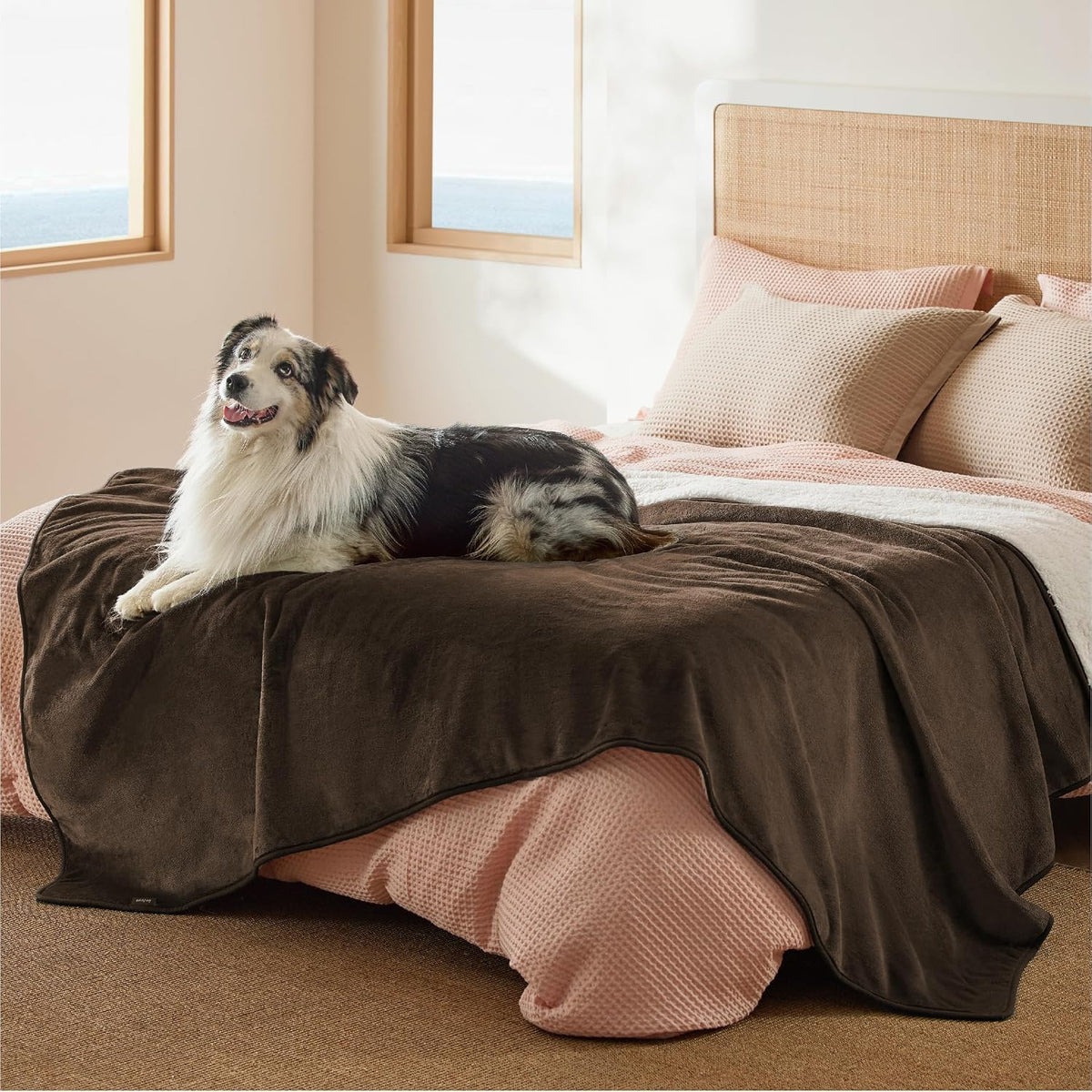 Bedsure Waterproof Dog Blankets for Small Dogs Soft Cat Blanket Warm - Twin(60x80") / Coffee Brown