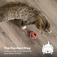 Catstages OrkaKat Wiggle Worm Dental Cat Chew Toy with Catnip - Pretzel / One Size (Pack of 2) - image 3