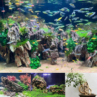 Unocho Aquarium Rocks Natural Dragon Stone seiryu Rocks 20LB Fish Tank Rocks for Aquariums Landscaping Model Tank Decoration-2-8 inches