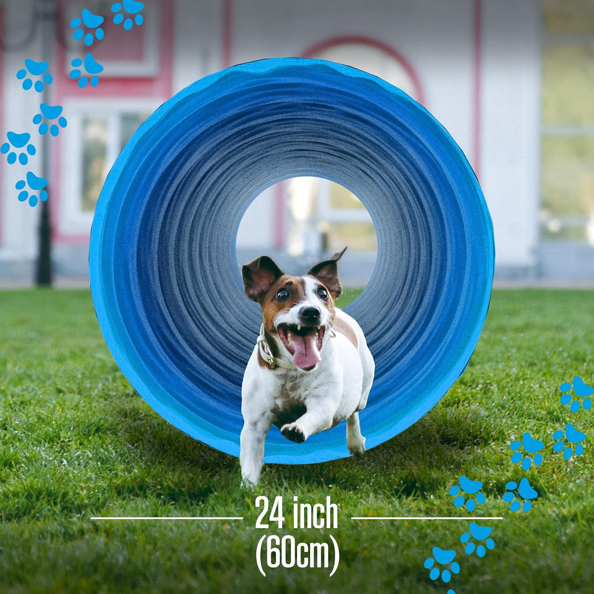 Dog Tunnel, Dog Agility Tunnel, Play - Blue - image 4