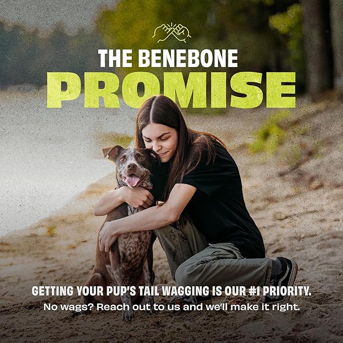 Benebone 3-Pack Ball/Bone Medium/Pawbler
