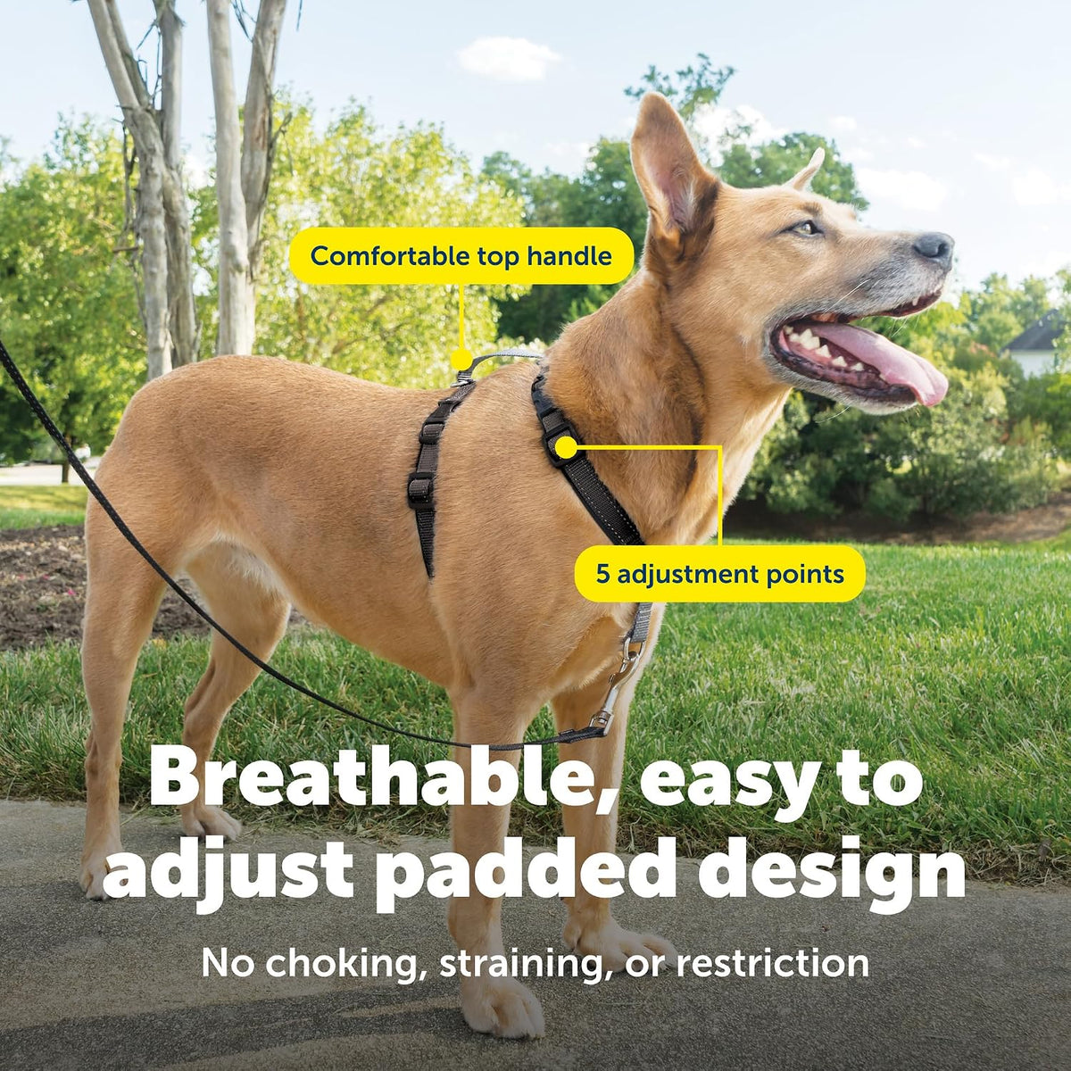 PetSafe 3 in 1 No-Pull Dog Harness, Walk, Train or Travel - Black / Medium (Pack of 1) - image 4