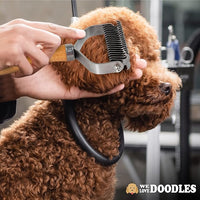 We Love Doodles Pet Dematting Comb and Pet Dematting Brush & Rake (Bundle) - Deshedding Undercoat Rake and Detangler Brush For Dogs, Comb Tool For Grooming, for Detangling Thinning and Shedding