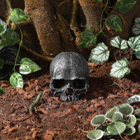 Resin Reptile Hideout for Tank Realistic Skull Decor for Terrarium - Black - image 2