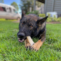 Nylabone Power Chew Original Bone Dog Chew Toys - Original / X-Large - image 2