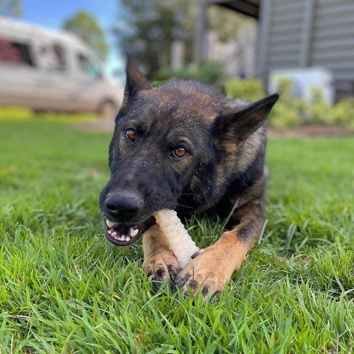 Nylabone Power Chew Original Bone Dog Chew Toys - Original / X-Large - image 2