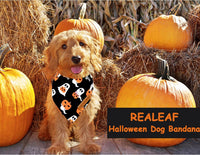 Halloween Dog Bandanas 2 Pack - Halloween 1 / Large - image 3