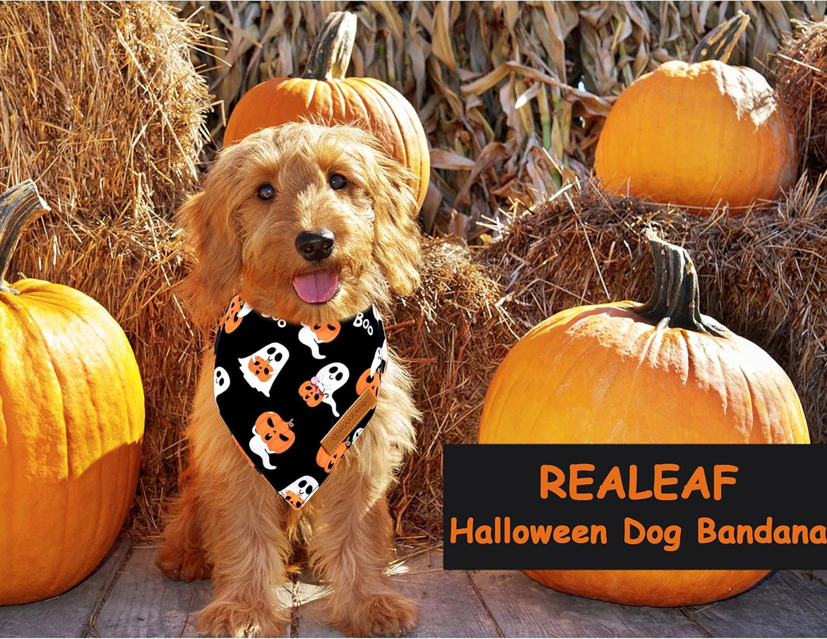 Halloween Dog Bandanas 2 Pack - Halloween 1 / Large - image 3