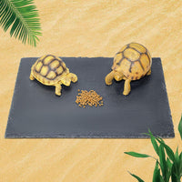 Rock Basking Platform with Bowl & Mat for Reptiles Small – Essentials for Reptiles And Amphibians - Large-Size