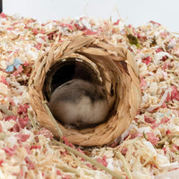 Niteangel Creative & Composable Hamster Tunnel: Edible Water Hyacinth - SHLD - image 4