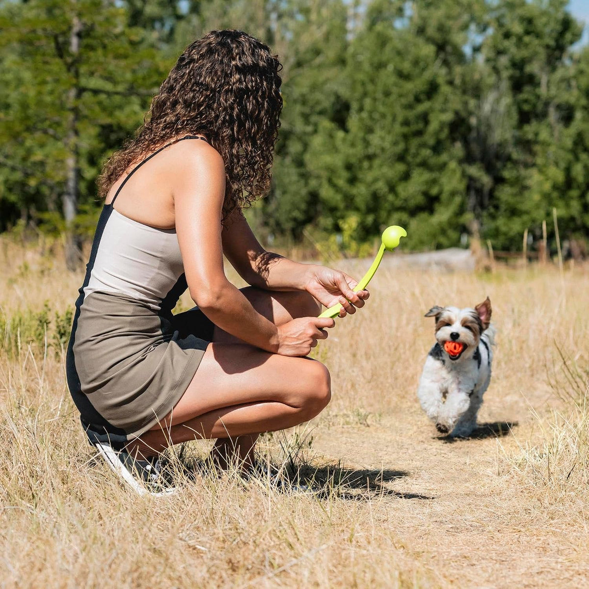 Chuckit! Sport 14S Manual Ball Launcher for Small Dogs – Essentials for Dogs - Small Ball (2.0") (Pack of 12) / 14" Length Sport Launcher - image 3