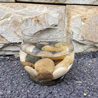 XXYXXY River Stones, Plants, Gardens, Landscapes, Succulents, Highly Polished Decorative Pebbles in Shapes and Sizes from 1-3 inches. (5.7LB, 1)