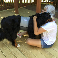 CoolerDog Dog Cooling Vest & Cooling Collar - L - image 4