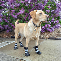 Spark Paws Dog Shoes, Waterproof Dog Boots for Medium to Large Dogs, Non Slip, Breathable Dog Booties and Paw Protectors - 4PCS Doggie Hiking Boots with Reflective Straps - Black, Size 1