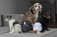 Pet Parents® Washable Dog Diapers (3pack) + Extendrs® of Durable Doggie Diapers, Premium Dog Diapers Female & Male (Medium, Camo)