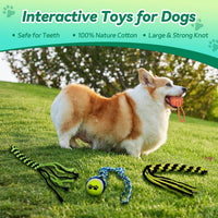 Flirt Pole for Dogs, Interactive Toys Tug-of-war for Pet - 2 switch-40.2Inch - image 3