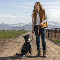 Carhartt Nylon Dual Handle Dog Leash Carhartt Brown L – Essentials for Dogs - Carhartt Brown / Large (6'Length x 1' Width) - image 4