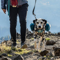 Kurgo Big Baxter Dog Backpack Harness - Baxter Pack / Coastal Blue - image 3