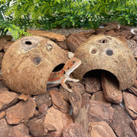 PINVNBY 2 PCS Natural Coconut Reptile Hideouts Lizard Coco Hut Hermit - Natural Surface / 2 PCS - image 2