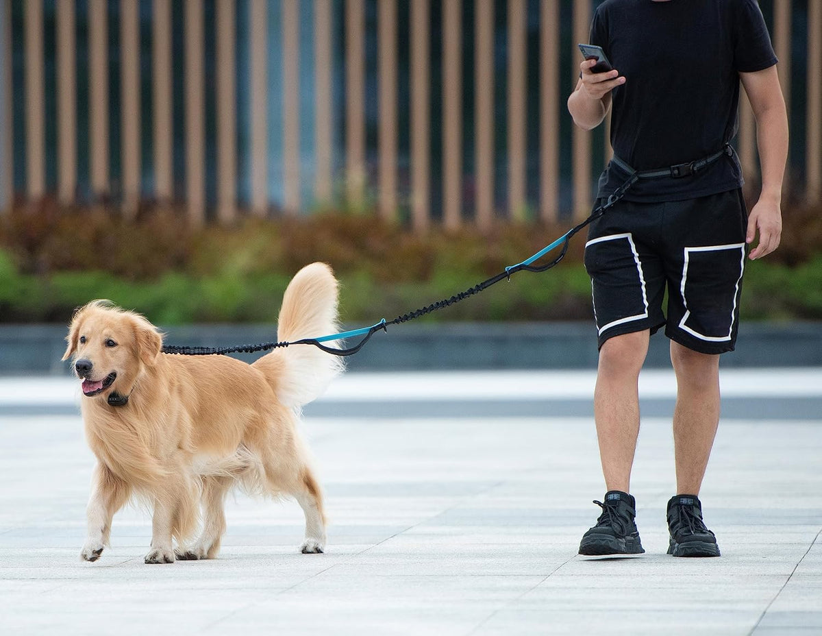 Hands Free Dog Leash with Zipper Pouch - Black / Large - image 3