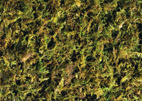 Exo Terra Forest Plume Moss, 7 Quarts - image 2
