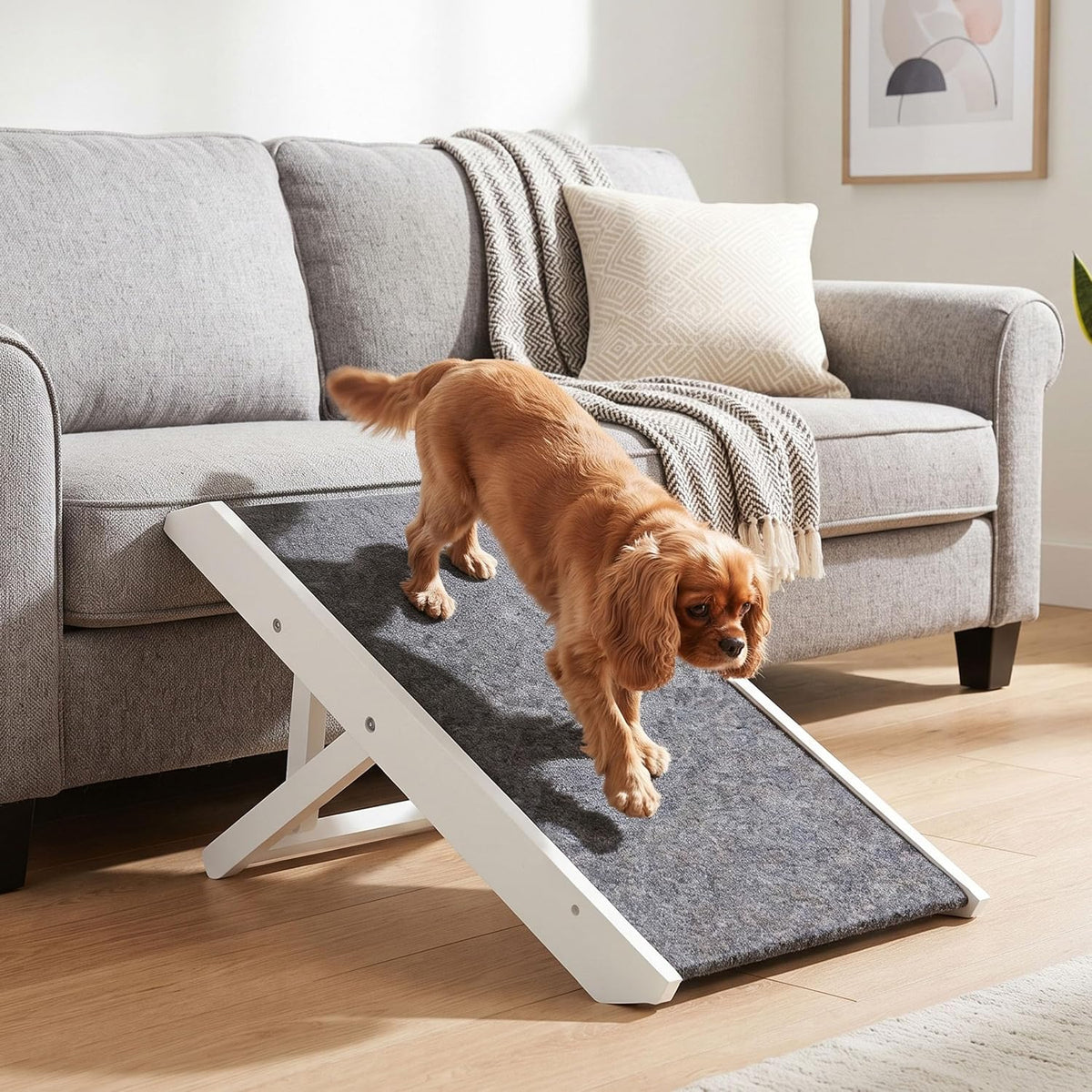Internet's Best Adjustable Pet Ramp - White - 13" - image 2