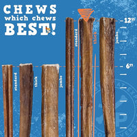 Jack&Pup 12 Inch Bully Sticks for Large Dogs | Thick Odor Free Bully Sticks (3 Pack) Long Lasting Bully Sticks for Dogs