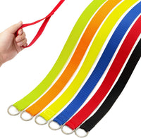 Slip Lead Dog Leash, etc. - 6 pcs / 6ft