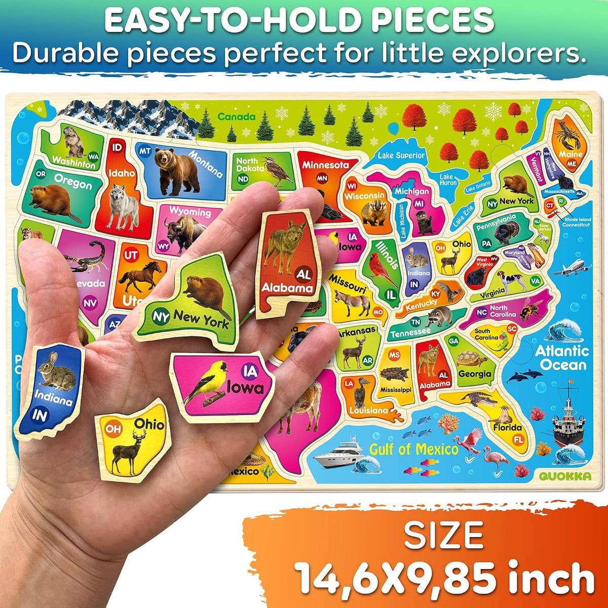 US Map Puzzles for Kids Ages 4-6 - Realistic Wooden USA - image 3