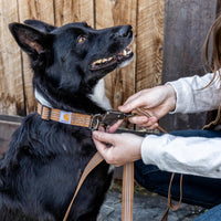 Carhartt Nylon Dual Handle Dog Leash Carhartt Brown L – Essentials for Dogs - Black / Large (6'Length x 1' Width) - image 2