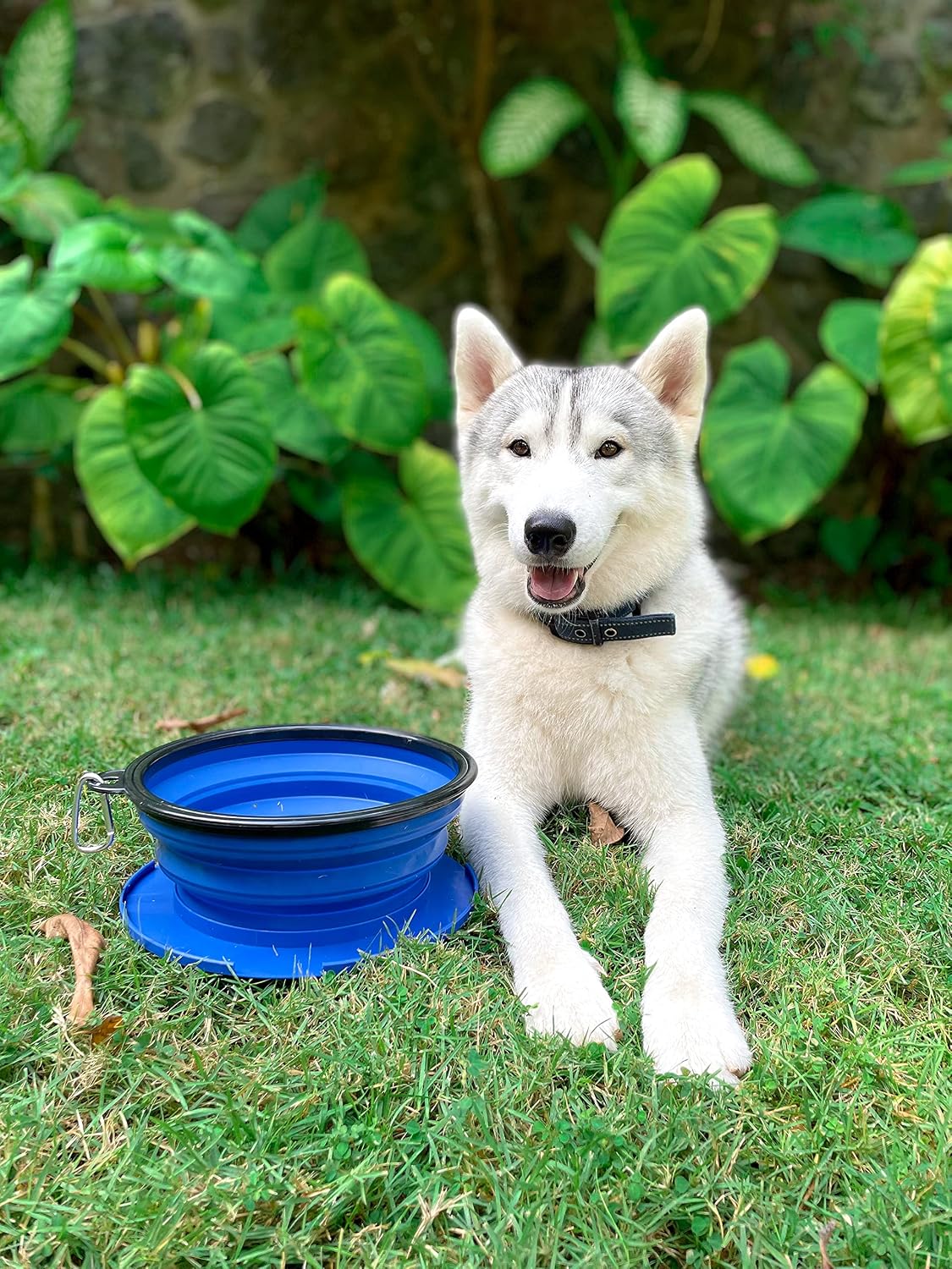 Tuff Pupper SuperBigSlurp Collapsible Dog Bowls - Nebulas Blue / XX-Large (100oz) - 2 Bowls - image 3