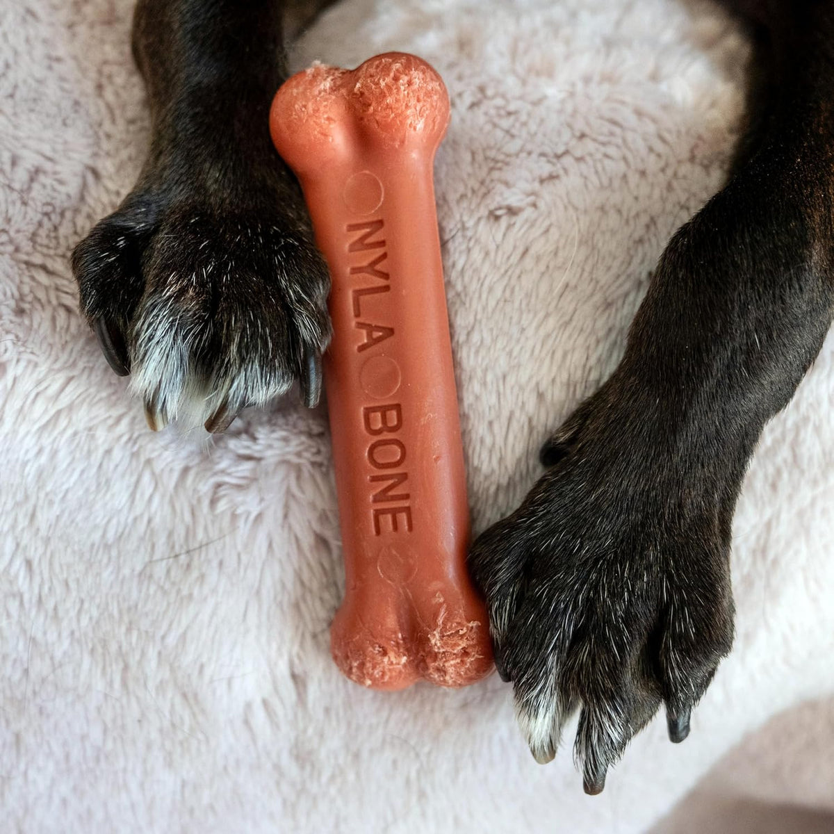 Nylabone Power Chew Original Bone Dog Chew Toys - Bacon / Small - image 2
