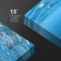 wall26 Canvas Print Wall Art Tropical Ocean Sea Underwater Dolphin Duo Nature Animals Photography Realism Rustic Scenic Landscape Wilderness Earth Colorful for Living Room, Bedroom, Office - 12"x18"