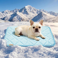 Waterproof Cooling Mat for Large Dogs 28x41 - Light Blue / 21x29
