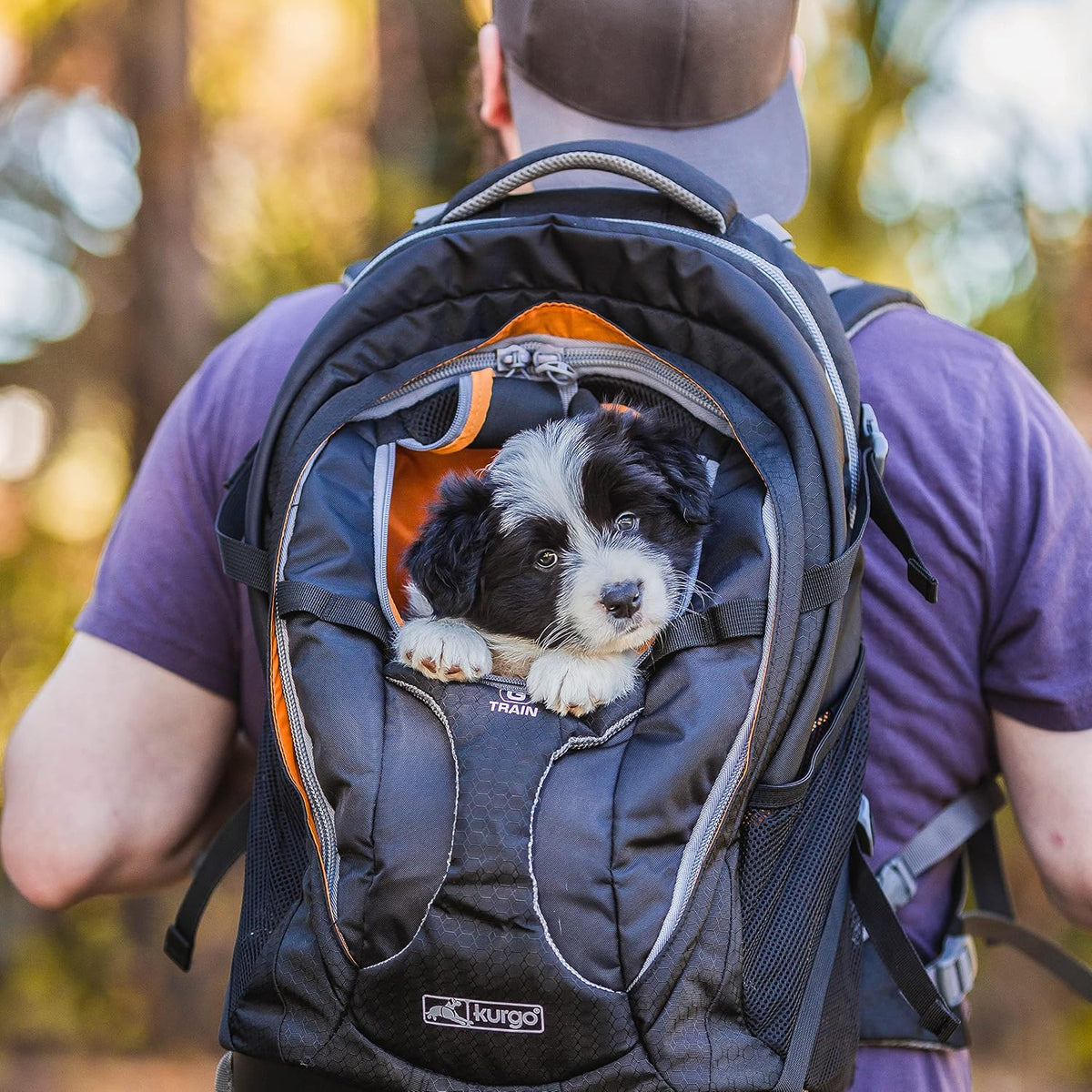 Kurgo G-Train Pet Carrier Backpack - Navy Blue - image 2