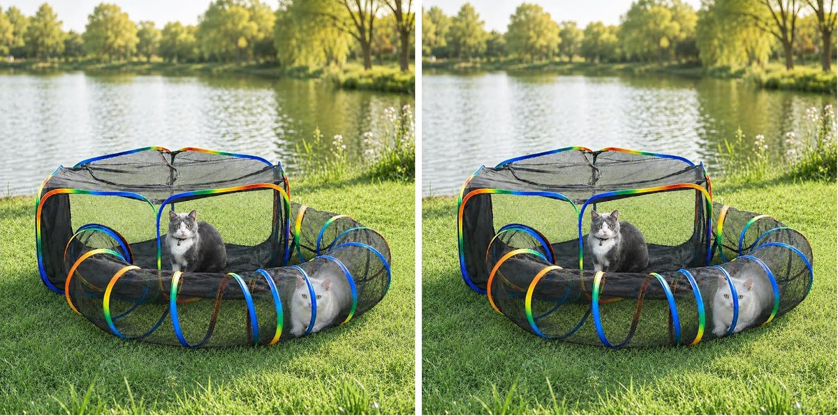 Portable Cat Enclosure, Foldable Playpen for Indoor Cats - Tent + Circle Tunnel (Pack of 2)