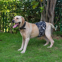 CuteBone Male Washable Dog Diapers Belly Bands 3pcs a Pack DM05L