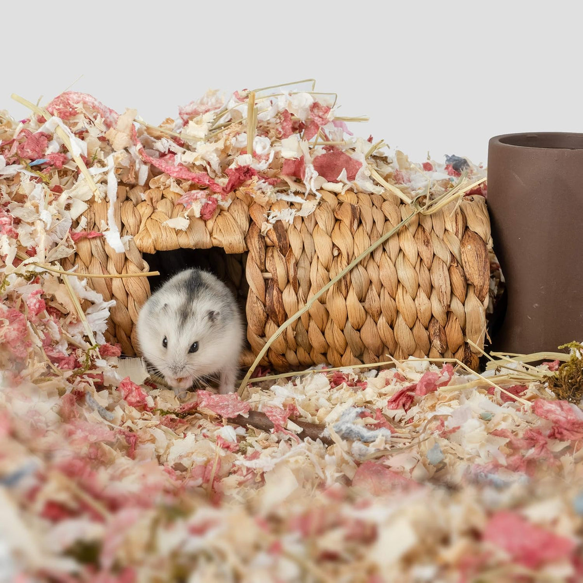 Niteangel Creative & Composable Hamster Tunnel: Edible Water Hyacinth - SHLD - image 3