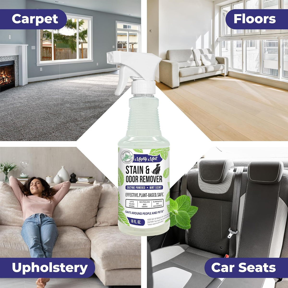 Mighty Mint Stain & Odor Remover - image 2