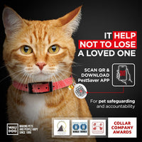 WAUDOG Leather Cat Collar with Bell Elastic Strap Stretchy Kitten - Red / 8"- 12" Without Holder - image 3