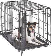 New World by Midwest 42-Inch Single Door Crate, for Large Breeds - Single Door - Black / Small (30"L)