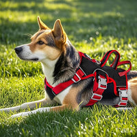 Escape Proof Dog Harness, No Pull Reflective Adjustable Vest with Easy Control Lift Handle, No Choke Soft Padded Breathable Full Body Pet Harness for Walking Hiking and Training (Red, Small)