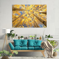 Nature Wall Art Prints - Ocean Forest Mountain Lake Canvas Landscapes - Small to Extra Large Living Room Bedroom Kitchen Bathroom Décor (Reaching for the Sky, 16L" x 24W")