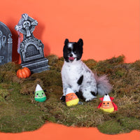 Fringe Studio, Creepy CRAWLY Spiders - Candy Corns - image 3