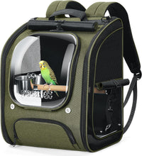 Pecute Bird Backpack Carrier with Standing Perch for Small Parrot - Green