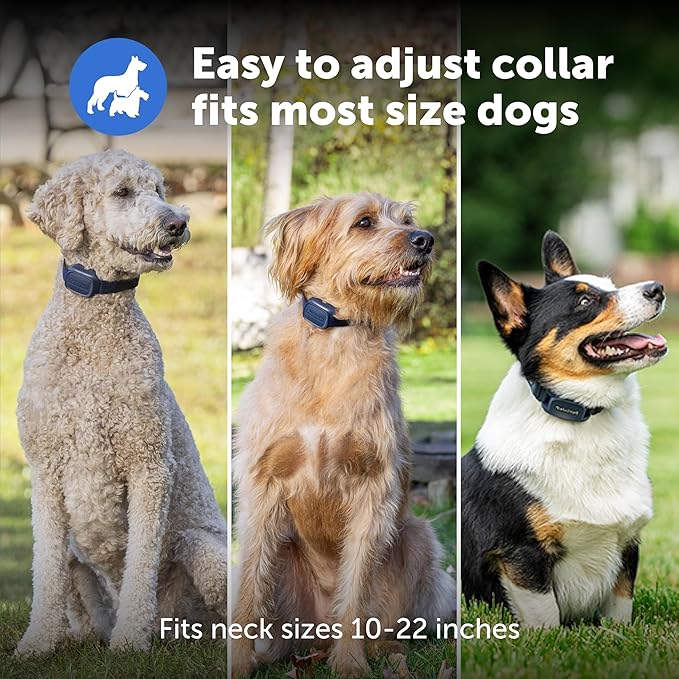 PetSafe Core Remote Trainer Add-A-Dog Collar – Extra Collar for Dog Training Collar with Remote – Waterproof – Tone, Vibration and 15 Levels of Static – Built-in LED Light