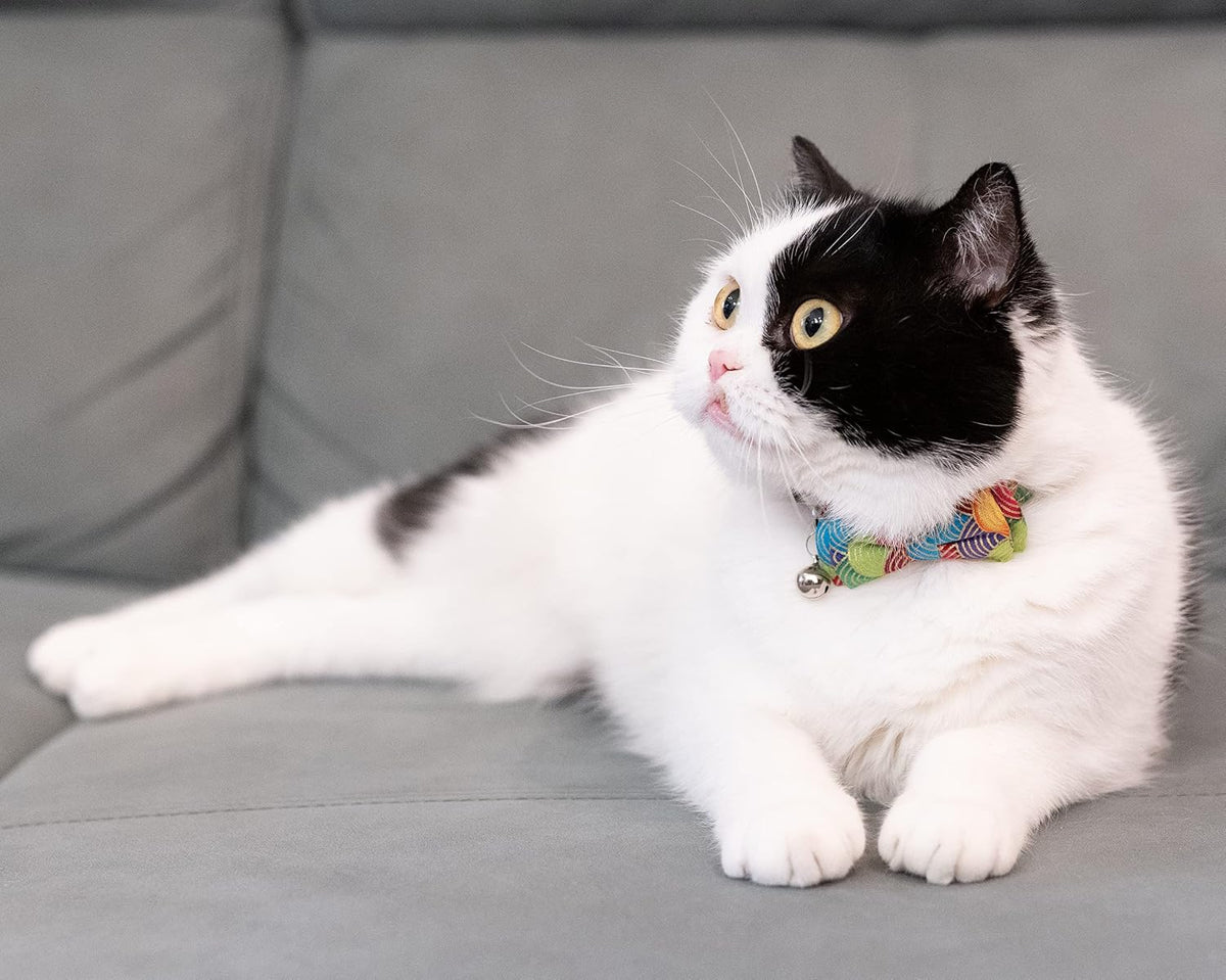 Collar for Cat Pet Breakaway with Bell Bowtie Detachable Bow - Kimono-Green & Purple - image 2